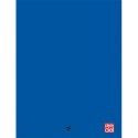 Cahier 24x32 96 pages grands carreaux piqure 90g Couverture polypropylène - Bleu