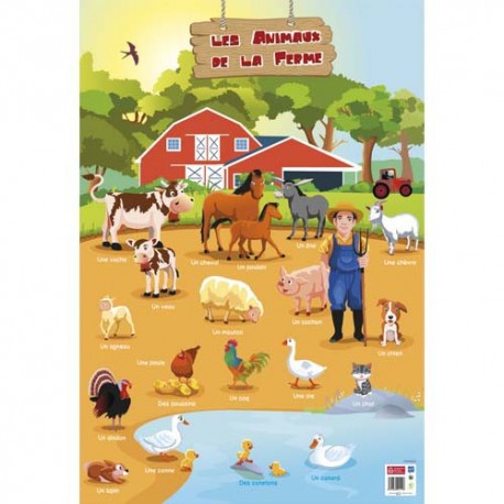 CBG Poster pelliculé  thème les animaux de la ferme- 52x76 cm