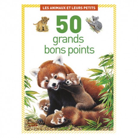 LITO DIFFUSION Boîte de 50 grandes images thème les animaux et leurs petits
