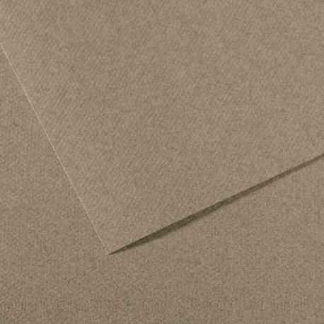 CANSON Manipack de 25 feuilles papier dessin MI-TEINTES 160g 50x65cm gris clair