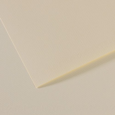 CANSON Manipack de 25 feuilles papier dessin MI-TEINTES 160g 50x65cm lys blanc