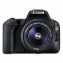 CANON Appareil photo reflex EOS 2000D + EF-S 18-55mm 2728C003
