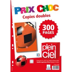 PLEIN CIEL Lot de 200 pages copies doubles format A4 grands carreaux Séyès 90g perforées.