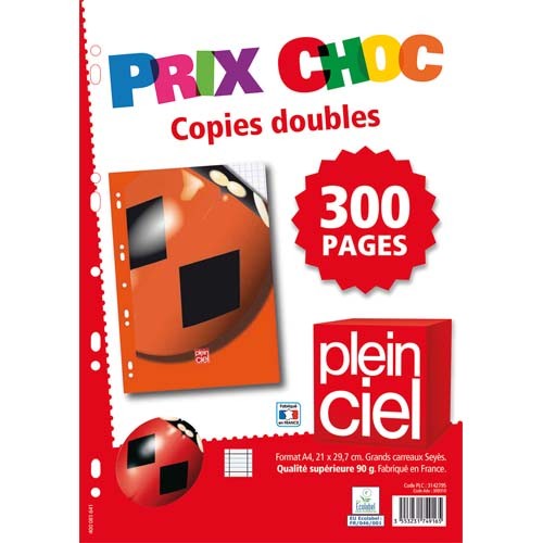 PLEIN CIEL Lot de 200 pages copies doubles format A4 grands carreaux Séyès  90g perforées. - Direct Papeterie.com