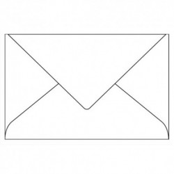 Enveloppe couleur CLAIREFONTAINE - P/20 enveloppes 120g POLLEN 9x14cm . Coloris blanc