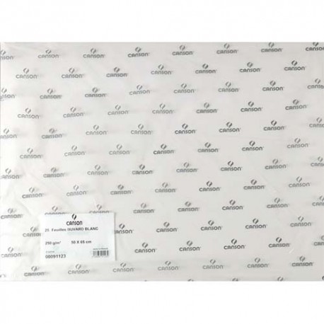 CANSON Feuille de papier buvard 250g 50x65cm blanc Ref-91123
