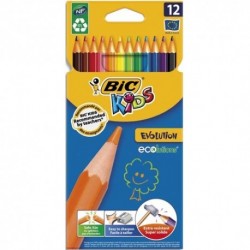 Crayon de couleur Bic Evolution Longueur 17,5cm étui carton de 12 Coloris assortis