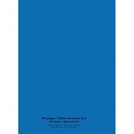 Cahier 24x32 96 pages petits carreaux piqure 90g Couverture polypropylène