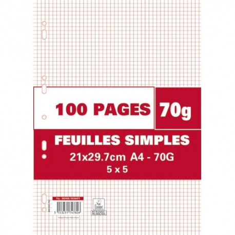 Feuilles simples pour dessin - Format A4 21 x 29,7 cm - 200 pages blanches  unies - 120 g/m² - Cultura - Feuille Simple - Copies - Feuilles