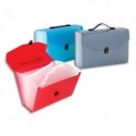 VIQUEL Trieur valise 24cmpts Propyglass PP 10/10 translucide. Coloris assortis bleu, rouge, gris - Assortis