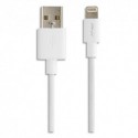 PNY Câble USB 2.0 vers Lightning 1,20M BLC C-UA-LN-W01-04