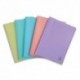 EXACOMPTA Protège document CHROMALINE 20 pochettes/40 vues PP 5/10e. Coloris assortis pastel