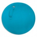 LEITZ Ballon d'assise Ergo Cosy, housse textile, poignée de transport, pompe à air. Coloris bleu