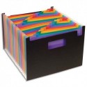 VIQUEL Trieur Seatcase Rainbow 24 compartiments, en polypro 7/10e, 2 poignées, noir intérieur multicolore - Noir
