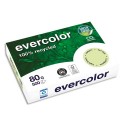 Ramette papier couleur A4 Clairefontaine Evercolor 80g 500 feuilles recyclé  - Vert clair
